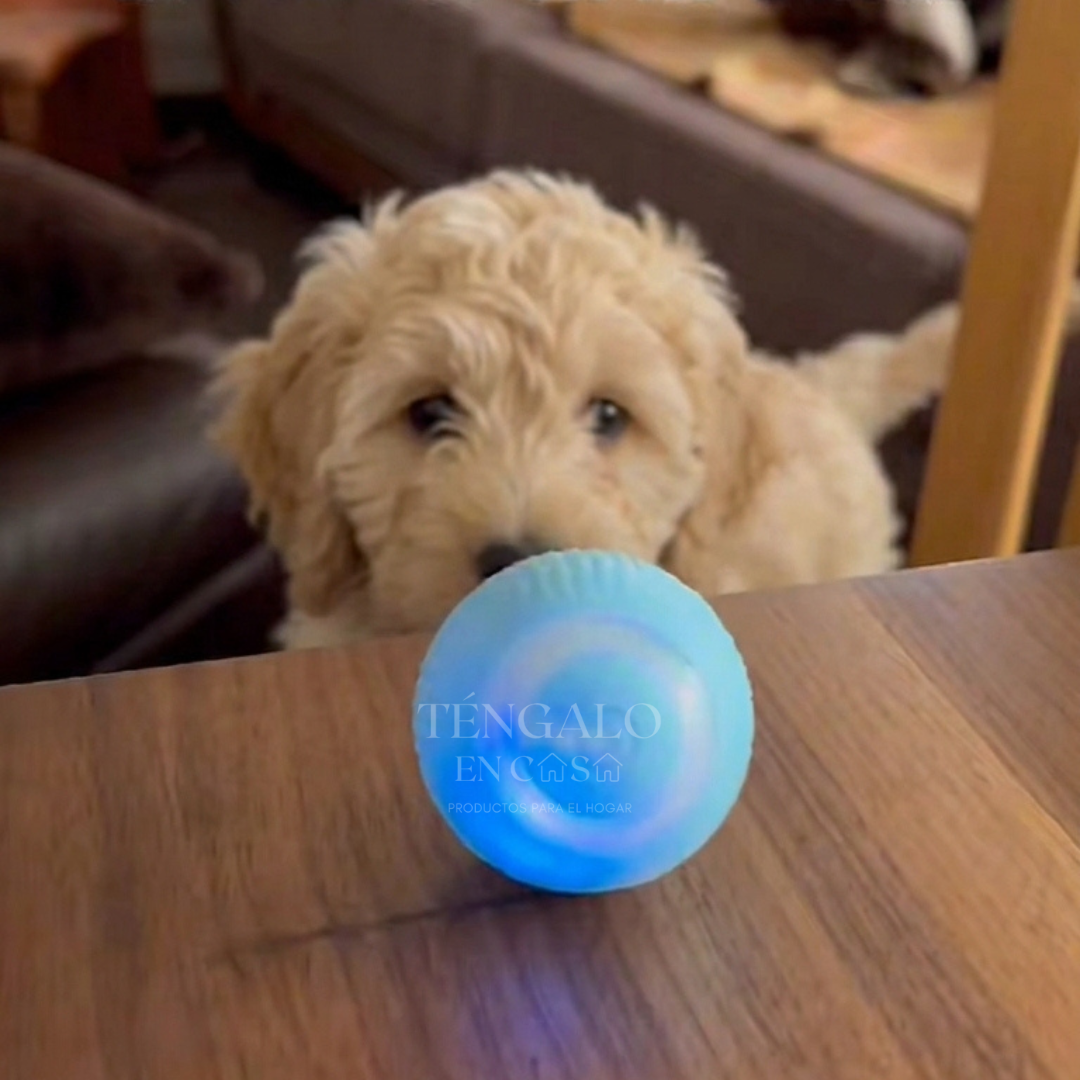 Pelota Inteligente Recargable para Mascotas