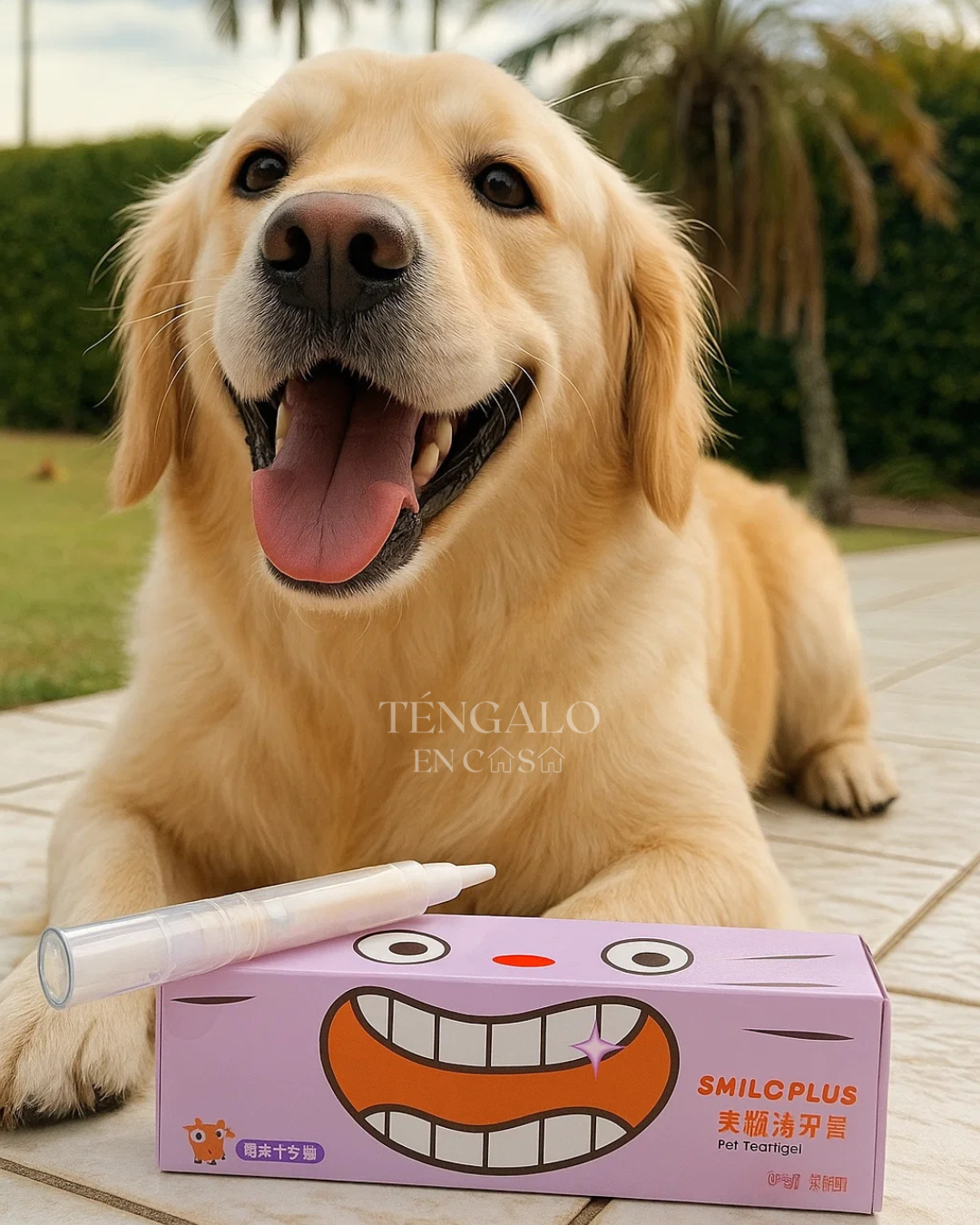 Cepillo de Dientes Blanqueador para Mascotas