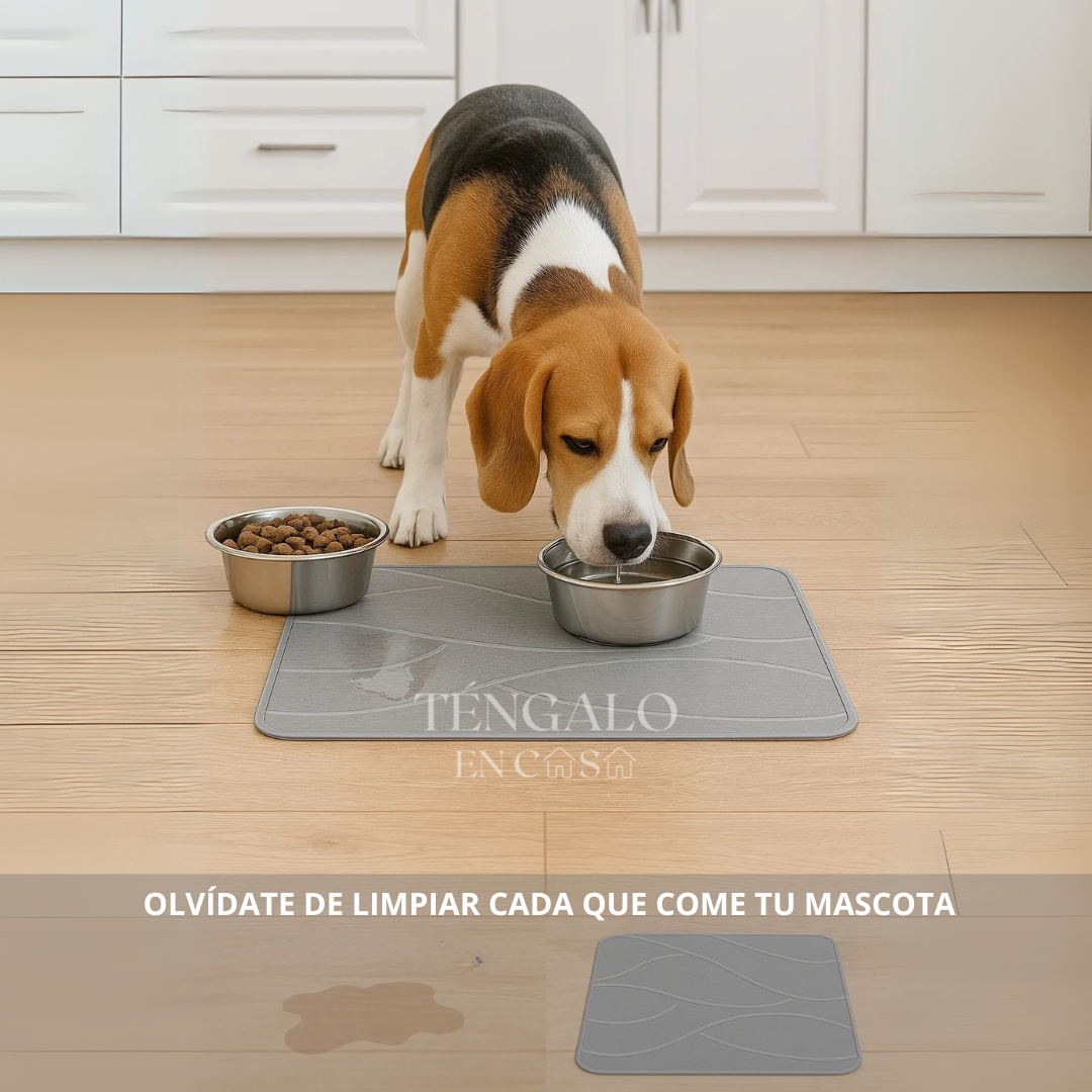 Tapete de Piedra Ultra Absorbente - Gris