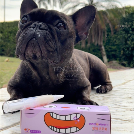 Cepillo con Crema Dental para Mascotas