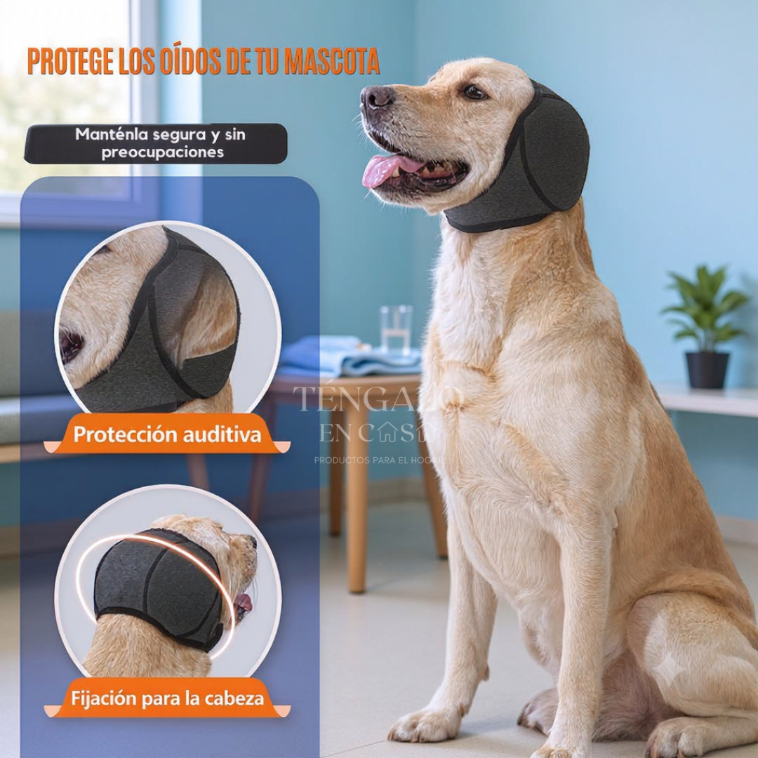 Protector Auditivo para Perros