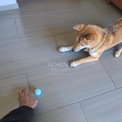 Pelota Inteligente Recargable para Mascotas