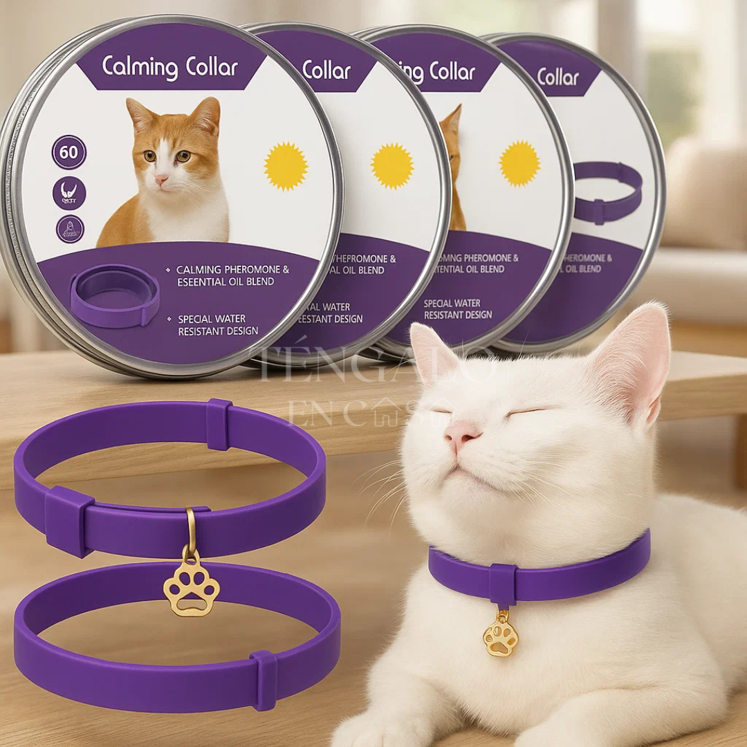 Collar relajante para mascotas