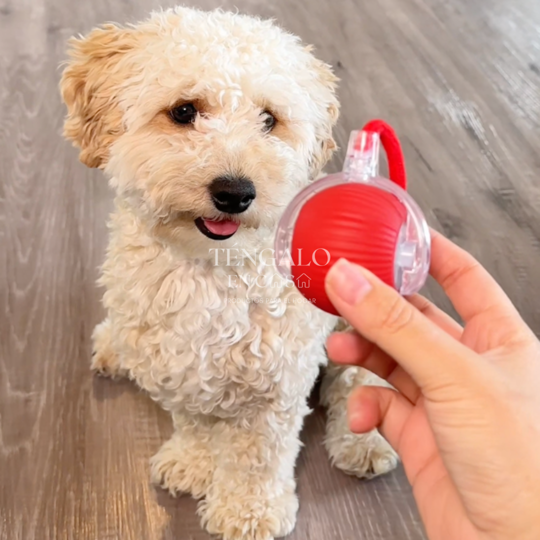Pelota Inteligente para Mascotas