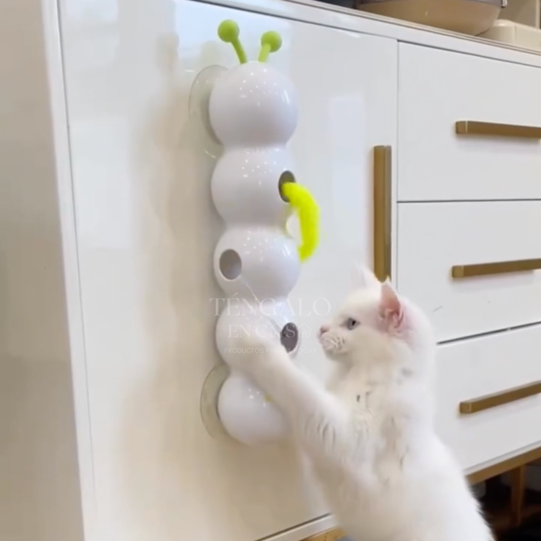 Oruga Interactiva para Gatos