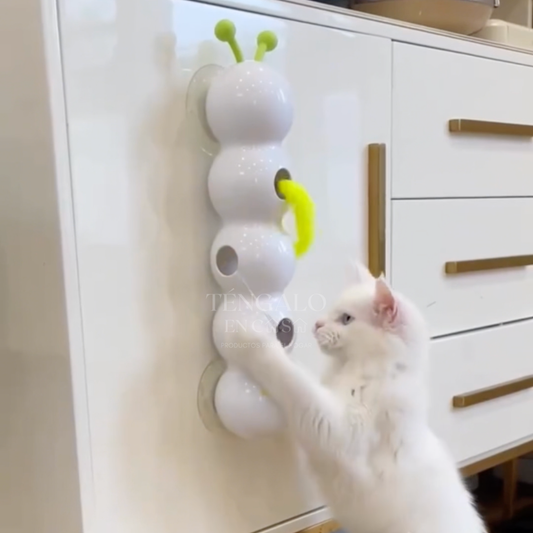Oruga Interactiva para Gatos