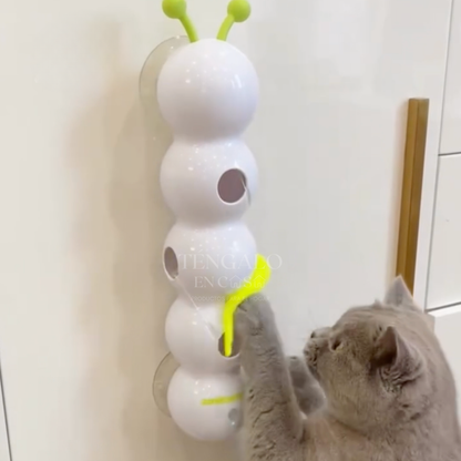 Oruga Interactiva para Gatos
