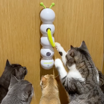 Oruga Interactiva para Gatos