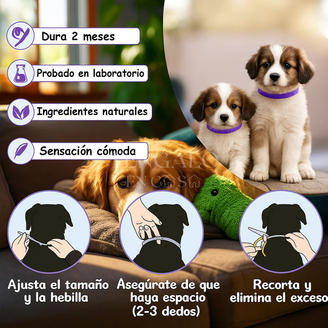 Collar relajante para mascotas