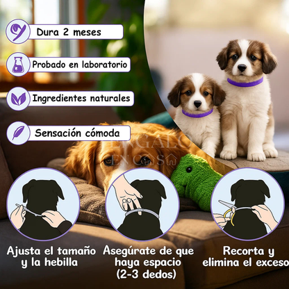 Collar relajante para mascotas