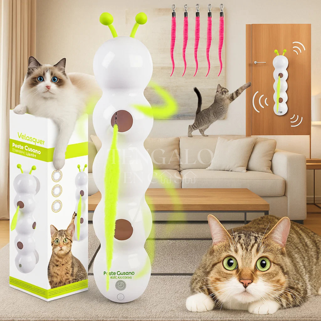 Oruga Interactiva para Gatos