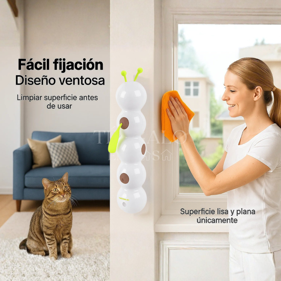 Oruga Interactiva para Gatos