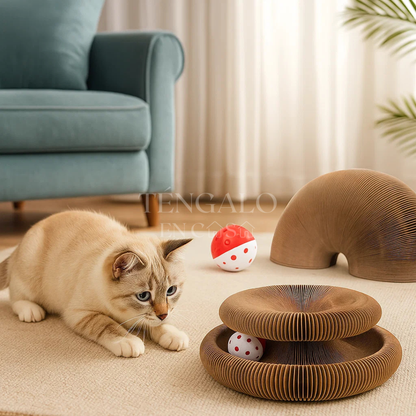 Juguete Rascador Antiestrés