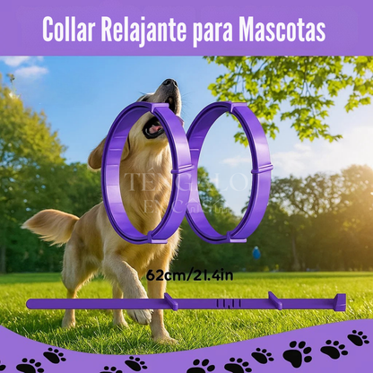 Collar relajante para mascotas