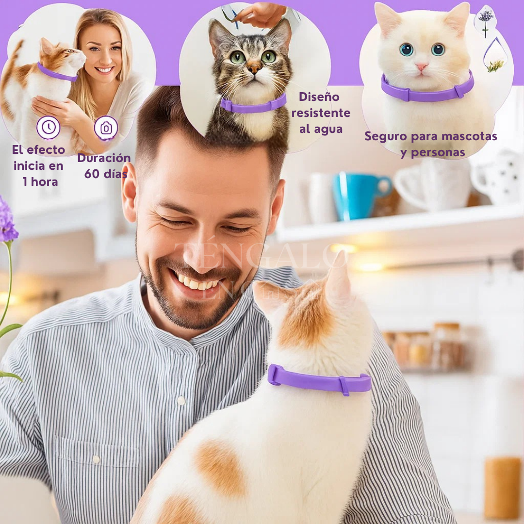 Collar relajante para mascotas