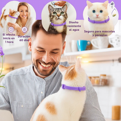 Collar relajante para mascotas