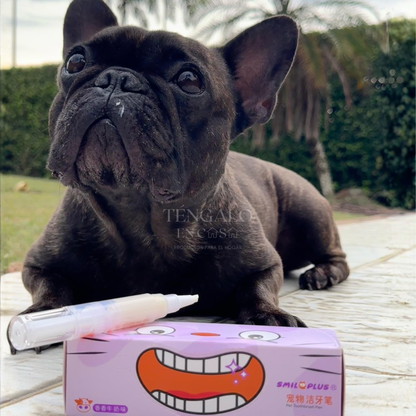 Cepillo con Crema Dental para Mascotas