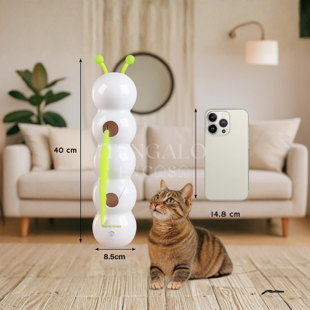 Oruga Interactiva para Gatos