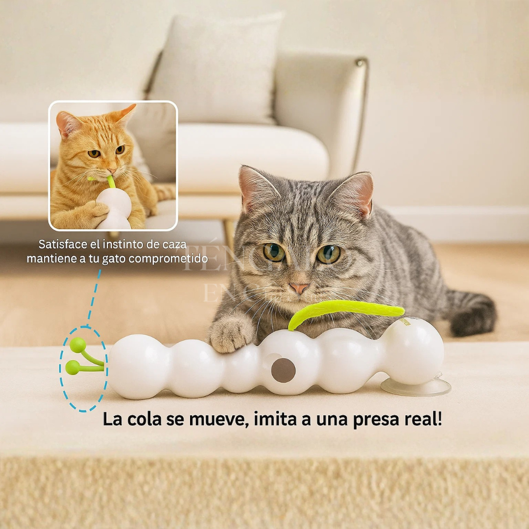 Oruga Interactiva para Gatos