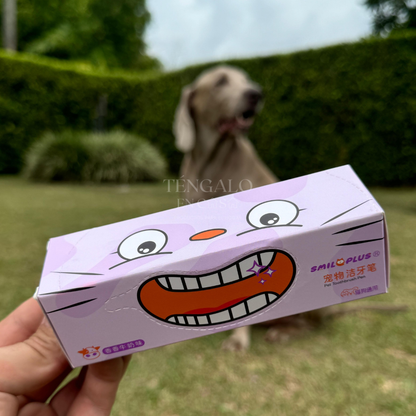 Cepillo con Crema Dental para Mascotas