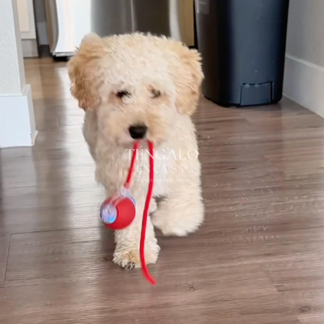 Pelota Inteligente para Mascotas