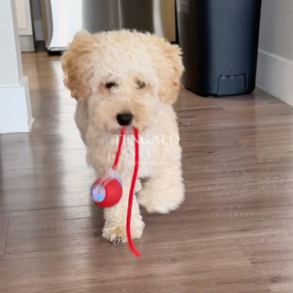 Pelota Inteligente para Mascotas