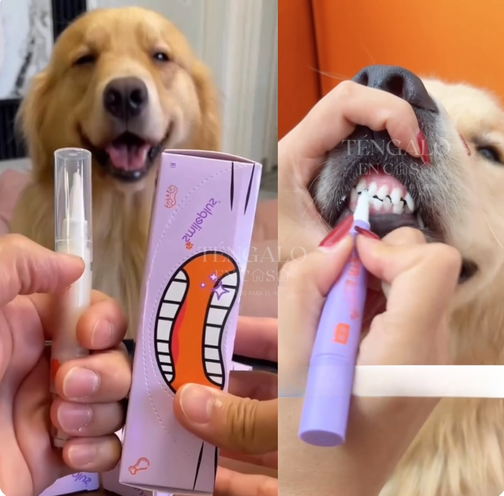 Cepillo con Crema Dental para Mascotas