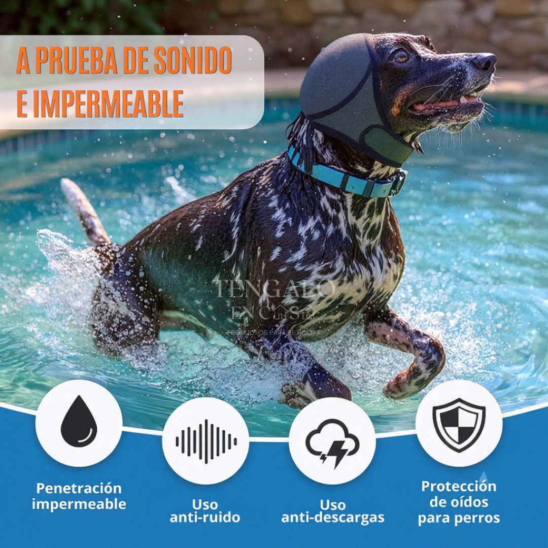 Protector Auditivo para Perros